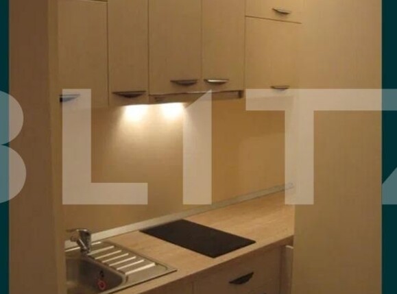 Garsonieră de închiriat Sararie - 116880AI | BLITZ Iași | Poza3