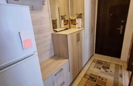 Apartament 1 camera, 35mp, in apropiere de Palas Mall