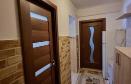 Apartament 1 camera, 35mp, in apropiere de Palas Mall