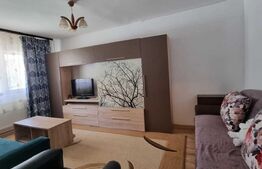 Apartament 1 camera, 35mp, in apropiere de Palas Mall