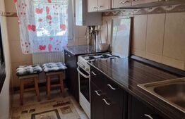 Apartament 1 camera, 35mp, in apropiere de Palas Mall