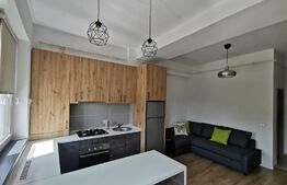 Apartament de 1 camera, 30 mp, zona Tatarasi