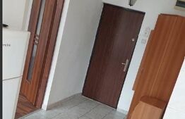 Apartament 1 camera 42 mp, zona Poitiers