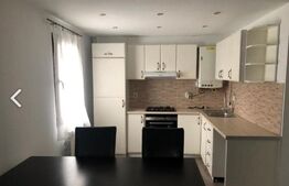 Apartament cu 3 camere, zona Plopii fara sot