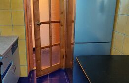 Apartament 2 camere 50 mp, semidecomandat, Podu Ros