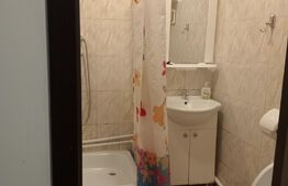 Apartament de 1 camera, 17 mp, zona Bularga