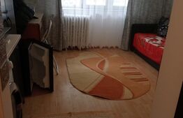 Apartament de 1 camera, 17 mp, zona Bularga