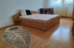 Apartament cu o camera Tudor Vladimirescu