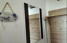Apartament cu o camera Tudor Vladimirescu