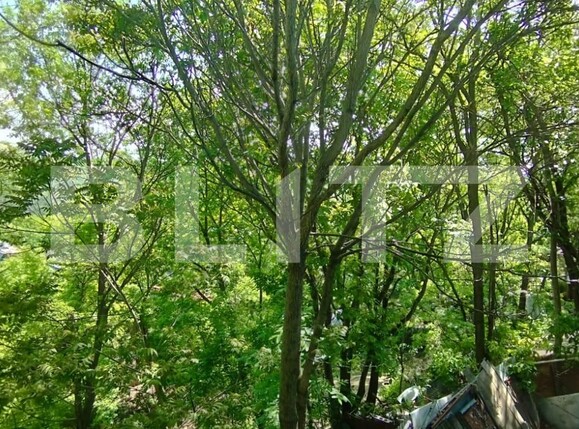 Casa de vânzare 3 camere Sararie - 117221CV | BLITZ Iași | Poza10