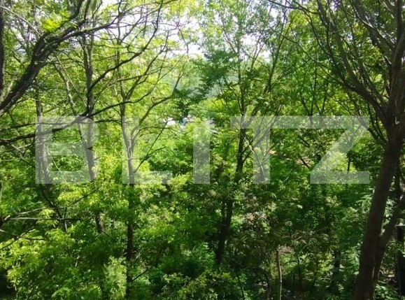 Casa de vânzare 3 camere Sararie - 117221CV | BLITZ Iași | Poza9