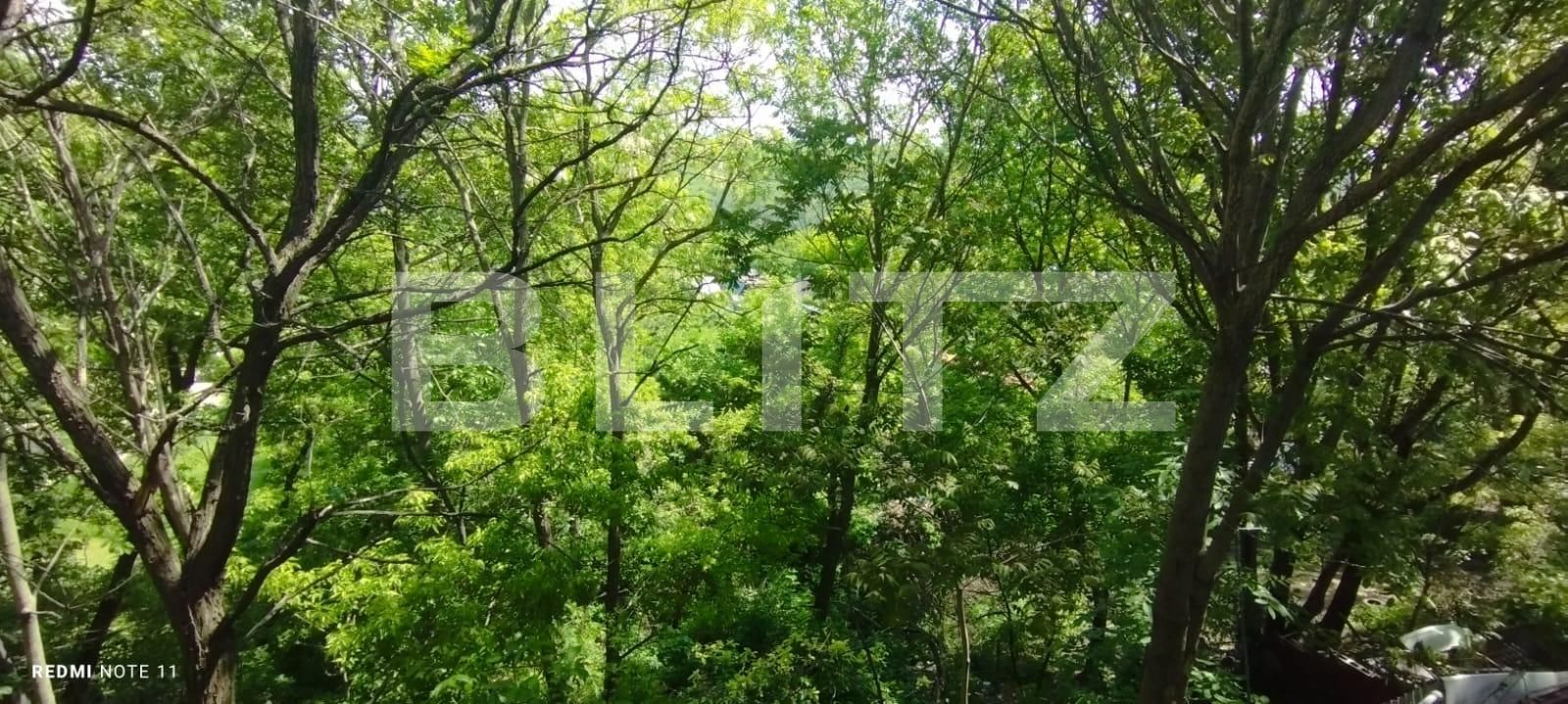 Casa de vânzare 3 camere Sararie - 117221CV | BLITZ Iași | Poza9