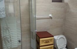 Apartament 2 camere 55 mp, decomandat, Podu de Fier