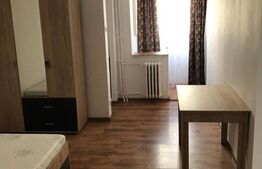 Apartament de 1 camera, 25 mp, semidecomandat zona Nicolina