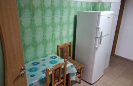 Apartament de 1 camera, 25 mp, zona Tatarasi