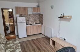 Apartament de 1 camera, 27 mp, decomandat, zona Pacurari