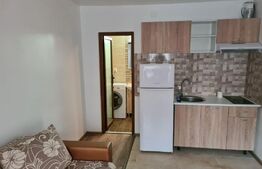 Apartament de 1 camera, 27 mp, decomandat, zona Pacurari