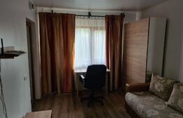 Apartament de 1 camera, 27 mp, decomandat, zona Pacurari