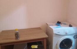 Apartament de 1 camera, 18 mp, zona Canta