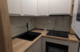 Apartament 1 camera, zona Alexandru