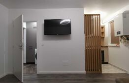Apartament 1 camera, zona Alexandru
