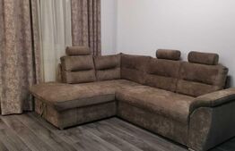 Apartament 1 camera, zona Alexandru
