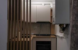 Apartament 1 camera, zona Alexandru