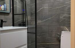 Apartament 1 camera, zona Alexandru