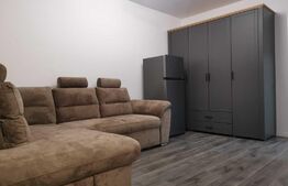 Apartament 1 camera, zona Alexandru