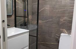 Apartament 1 camera, zona Alexandru