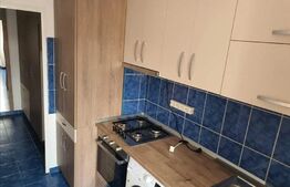 Apartament 1 camera, zona Alexandru cel Bun