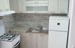 Apartament de 1 camera, 24 mp, decomandat, zona Alexandru Cel Bun