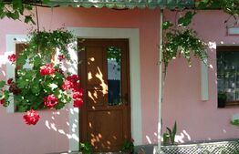 Casa cu 3 camere, 100 mp, 320 mp de teren, Tatarasi. 