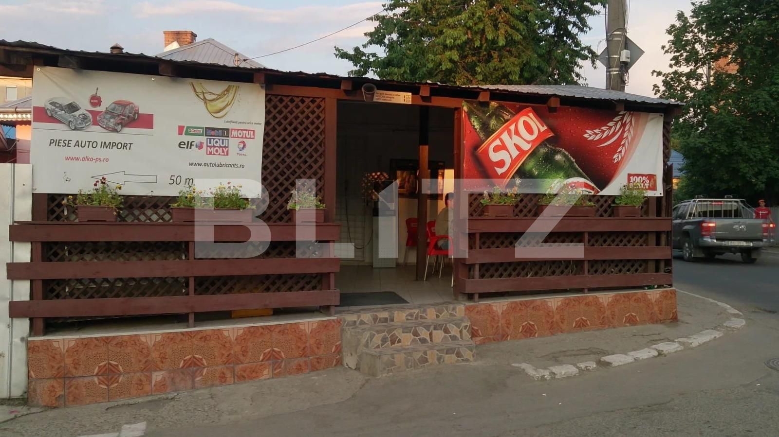 Casa de vânzare 5 camere Tatarasi - 117766CV | BLITZ Iași | Poza3