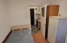 Apartament de 1 camera, 15 mp, zona Metalurgie