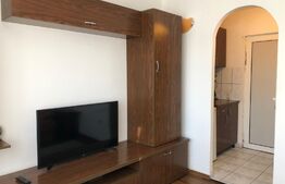 Apartament de 1 camera, 16 mp, zona Nicolina