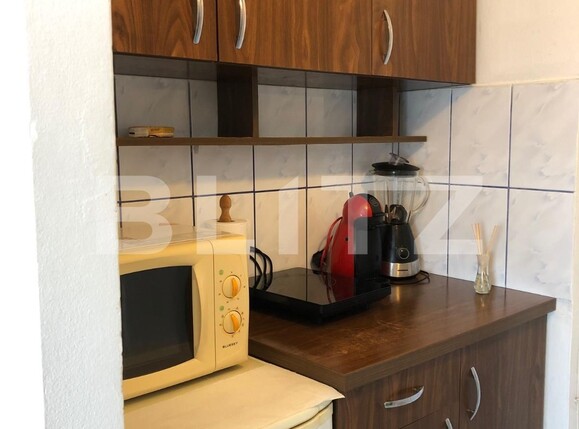 Garsonieră de închiriat Nicolina - 117868AI | BLITZ Iași | Poza4