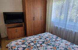 Apartament de 1 camera, 41 mp, semidecomandat zona Dacia