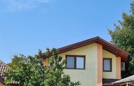 Casa cu 4 camere, 100 mp, 175 mp de teren, Tatarasi