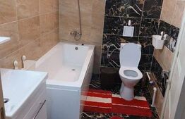 Apartament de 2 camere, 55 mp, decomandat, zona Metalurgie