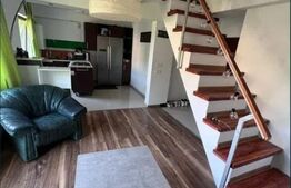 Apartament 2 camere, 57mp, zona Pacurari