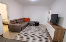 Apartament de 2 camere, 50 mp, zona Alexandru Cel Bun