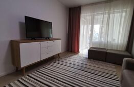 Apartament de 2 camere, 50 mp, zona Alexandru Cel Bun