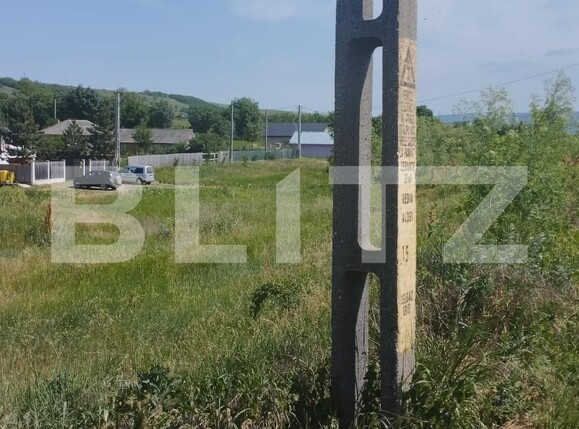 Teren de vânzare Valea Lunga - 118375TV | BLITZ Iași | Poza2