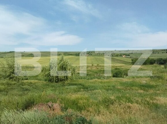Teren de vânzare Valea Lunga - 118375TV | BLITZ Iași | Poza1