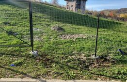 Teren, 1100 mp, asfalt, utilitati,  Tomesti