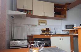 Apartament de 1 camera, decomandat, 33mp, zona Tatarasi