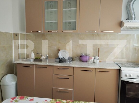 Apartament de închiriat 3 camere Alexandru cel Bun - 118436AI | BLITZ Iași | Poza7