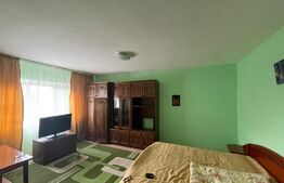 Apartament de 1 camera, 42 mp, decomandat, Tatarasi