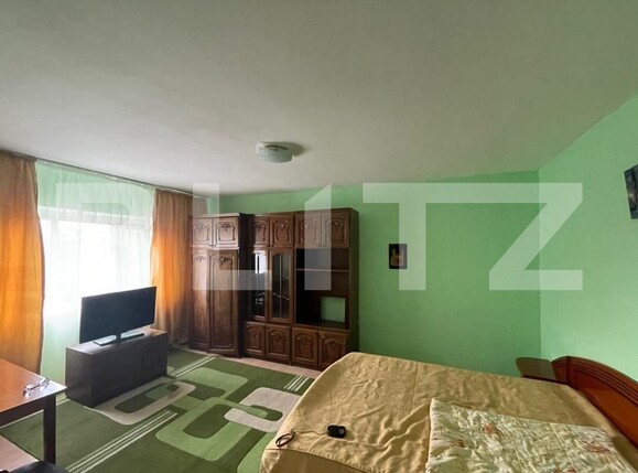 Garsonieră de închiriat Tatarasi - 118440AI | BLITZ Iași | Poza1